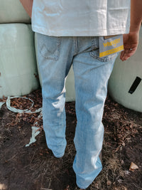 WRANGLER Wrancher Dawn