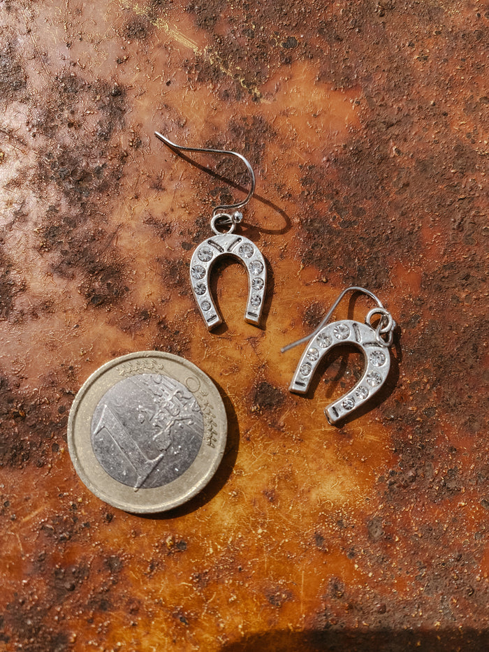 Horseshoe oorbellen